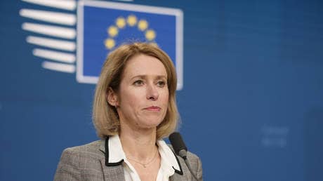 NATO will ‘survive’ Trump – EU’s top diplomat