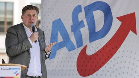 German priest sacks altar boy over photo with AfD politician