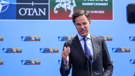 Baltic and Black seas are ‘NATO areas’ – bloc chief